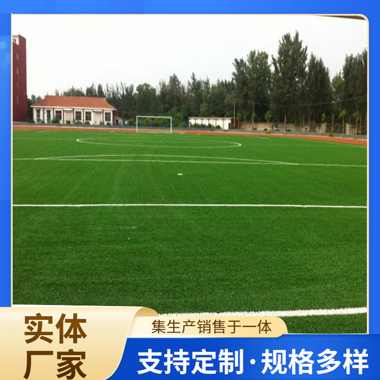 日照市塑胶跑道人造草坪 - 方案